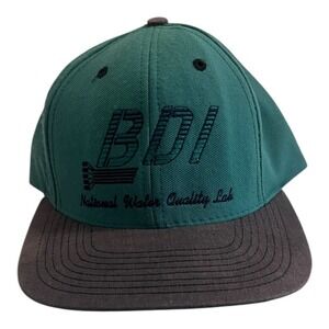 BDI National Water Quality Lab Green Blue Snap Back Hat Vintage USA OS